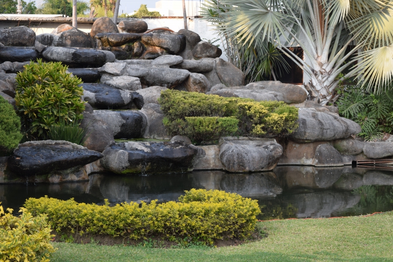 paysagiste-LA SEYNE SUR MER-min_garden-green-rock-natural-landscape-wall-grass-1613997-pxhere.com